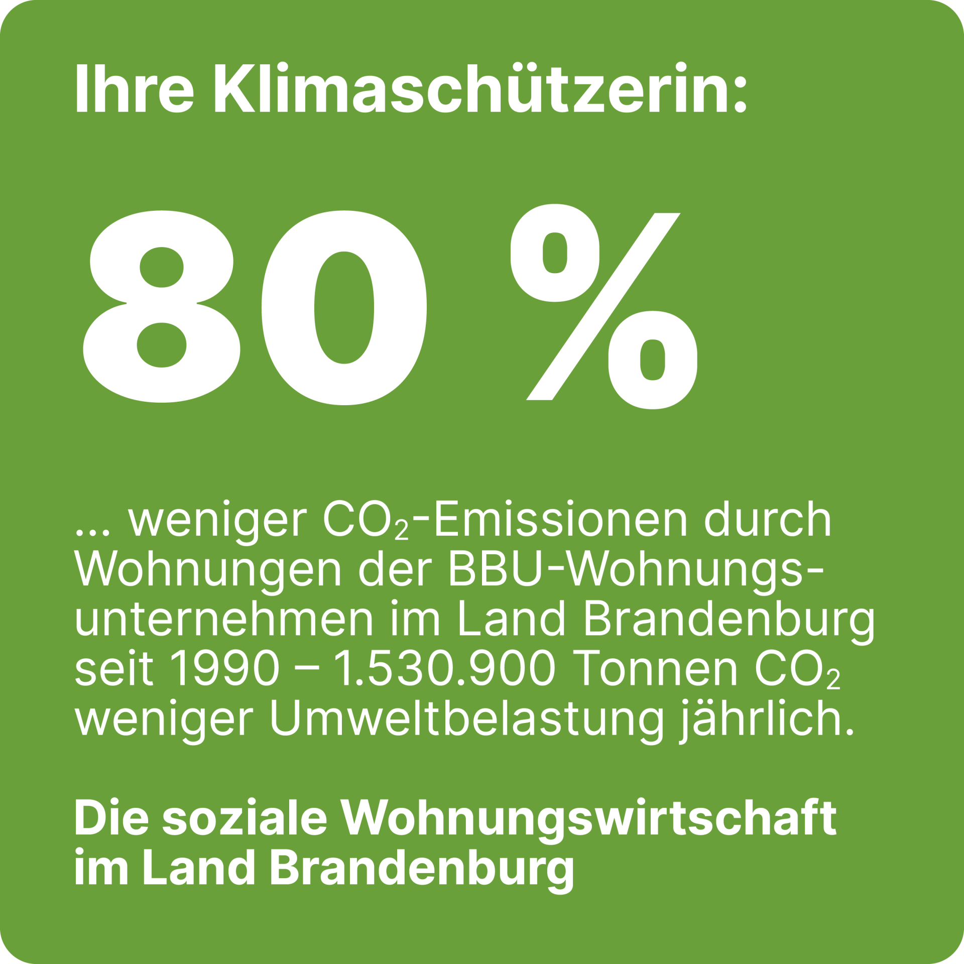 Landtagswahlen 2024 Brandenburg Kampagne BBU