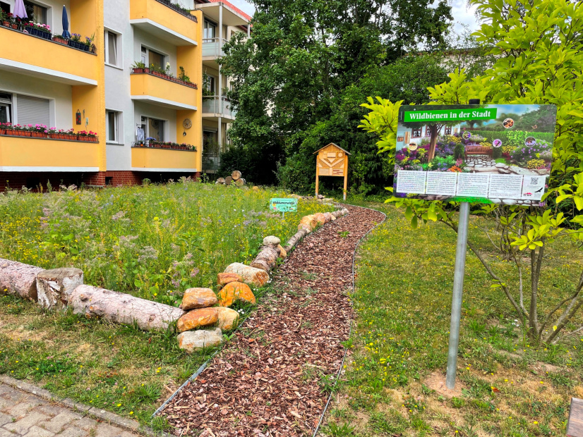 Wildbienen wbv Neukölln 